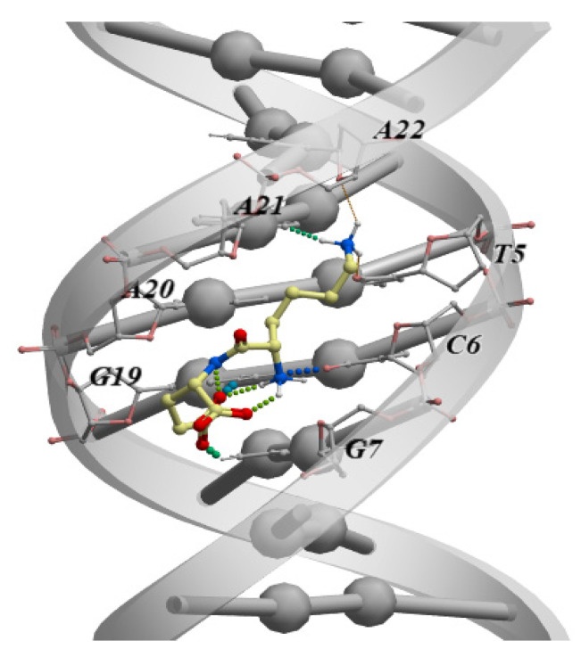 KE dipeptide DNA binding model from Khavinson et al. 2021